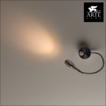 Светильник настенный гибкий Arte lamp A7005AP-1SS Picture light led