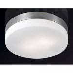 Настенно - потолочный светильник Odeon light 2405/2C PRESTO