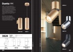 Настенно - потолочный светильник Odeon light 3896/1C DUETTA