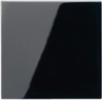 JUNG А 500 Черный Накладка светорегулятора/выключателя нажимного с ДУ (радио) (A1561.07FSW)
