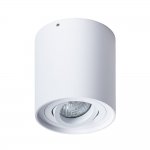 Светильник потолочный Arte lamp A5645PL-1WH FALCON