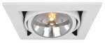 Светильник потолочный Arte lamp A5935PL-1WH CARDANI