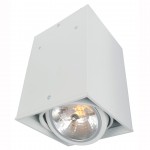 Светильник потолочный Arte lamp A5936PL-1WH CARDANI