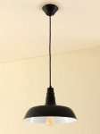 Светильник подвесной Citilux CL450205 Эдисон
