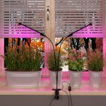 Светодиодный светильник для растений на прищепке FT-005 чёрный Elektrostandard