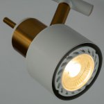 Светильник потолочный Arte lamp A1906PL-2WH ALMACH