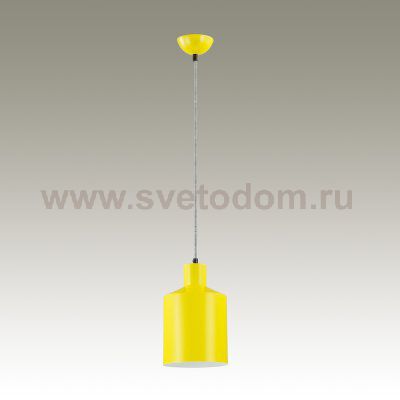 Подвесной светильник Lumion 3660/1 RIGBY