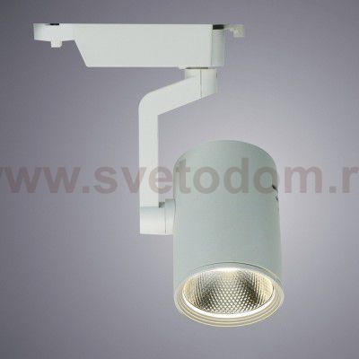 Светильник потолочный Arte lamp A2330PL-1WH TRACCIA