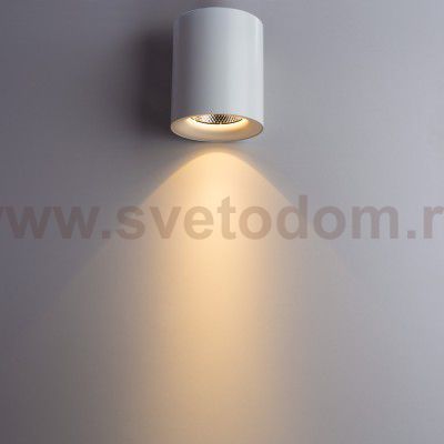 Светильник потолочный Arte lamp A5130PL-1WH FACILE