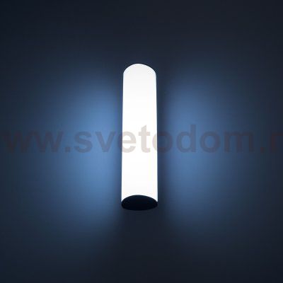 Уличный настенный светильник Citilux CLU0007 