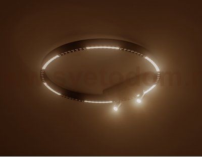 Потолочный светодиодный светильник с дополнительной подсветкой Ambrella FL5808 FL