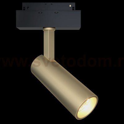 Трековый светильник Maytoni TR019-2-10W4K-MG Focus LED 