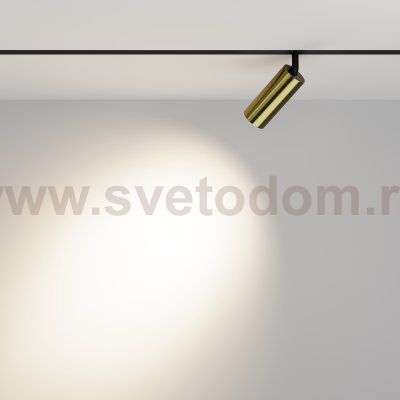 Трековый светильник Maytoni TR032-2-12W4K-M-BBS Focus LED