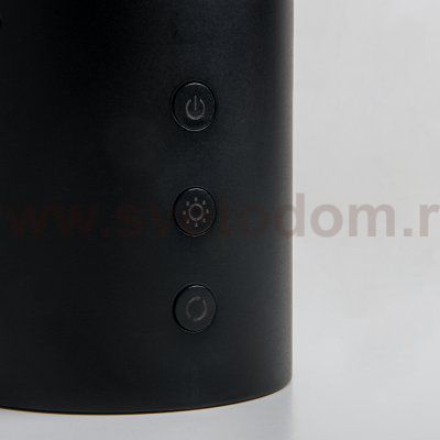 Современный светильник Eurosvet 80425/1 черный Premier