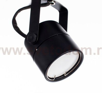 Светильник потолочный Arte lamp A1310PL-2BK LENTE