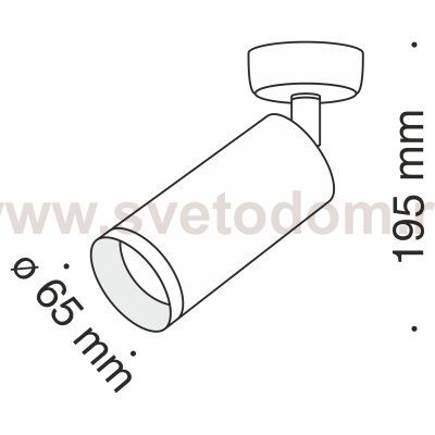 Потолочный светильник Maytoni C017CW-01GF Focus