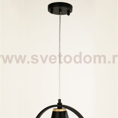 подвесной светильник Favourite 2938-1P Uccello
