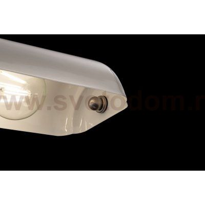 Настольная лампа Maytoni Z154-TL-01-N Kiwi
