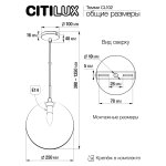 Светильник Citilux CL102630