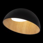 Потолочный светильник Loft it 10197/500 Black Egg