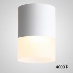 Точечный светильник TUGUR D11,8 White 4000 К ImperiumLoft 212528-23