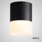 Точечный светильник TUGUR D11,8 Black 4000 К ImperiumLoft 212529-23