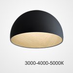 Потолочный светильник BARA B D50 Black Трехцветный свет ImperiumLoft 224005-23