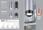 Потолочный накладной светильник Odeon light 3585/1C SPARTANO