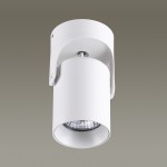 Потолочный накладной светильник Odeon light 3854/1C CORSUS