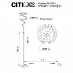 Торшер Citilux CL229911 Джемини