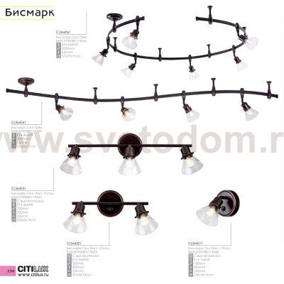 Спот поворотный Citilux CL564511 Бисмарк