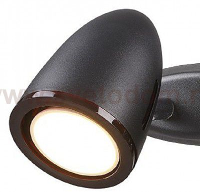 Подсветка Odeon light 3824/2W IMAGIO