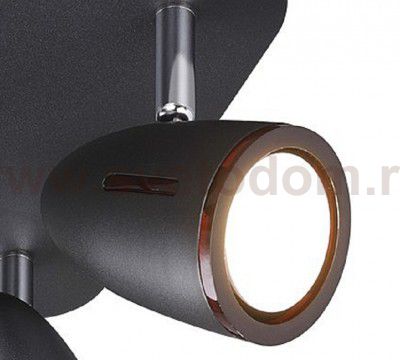 Светильник потолочный Odeon light 3824/4C REANNA