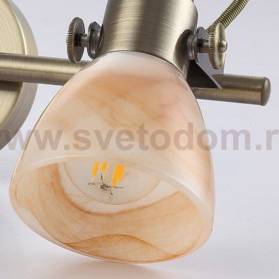 Светильник настенный Arte lamp A9581AP-2AB TULIP