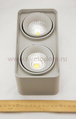 Светильник точечный накладной диодный Lightstar 52129 Monocco