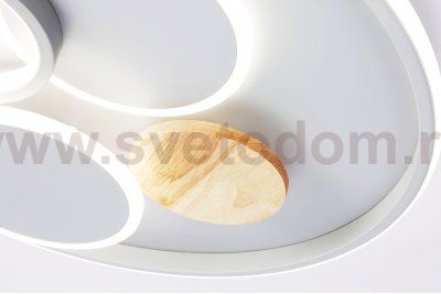 Настенно-потолочный светодиодный светильник с пультом Ambrella FL4803 FL
