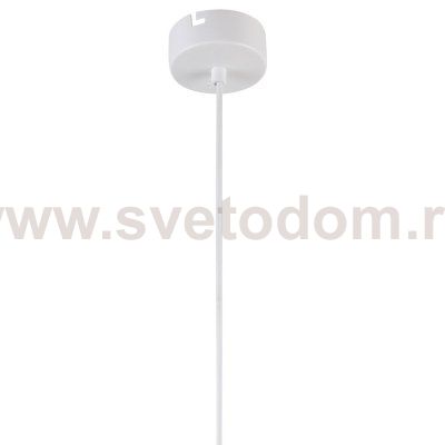 подвесной светильник Favourite 2557-1P Aenigma