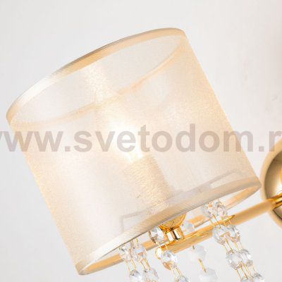 Настенный светильник Favourite 2891-1W Ventus