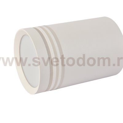 Настенно-потолочный светильник Favourite 3065-1U Darar