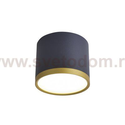 Потолочный светильник Favourite 3081-2C Baral