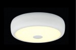 Светильник настенно-потолочный Citilux CL706320 Фостер-3