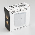 Уличный настенный светильник Citilux CLU0730 STELS