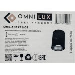 Светильник потолочный Omnilux OML-101219-01