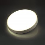 Светильник настенно-потолочный Sonex 7628/AL Filo
