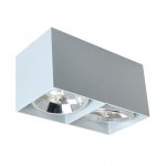 Потолочный светильник Zumaline BOX SL2 89949-G9